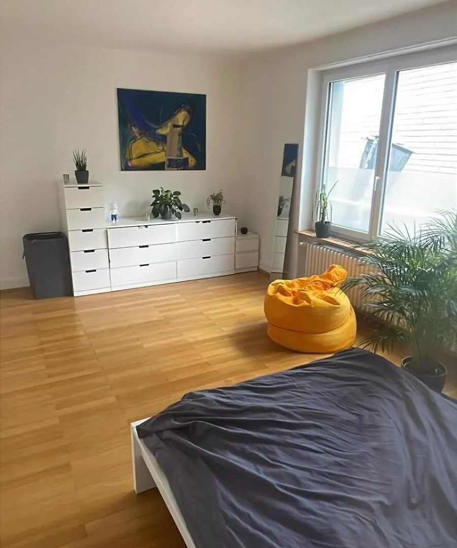 Perfect Esc Apartment In Basel