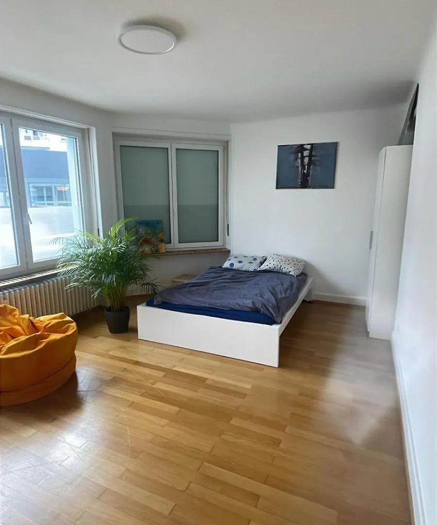 Perfect Esc Apartment In Basel
